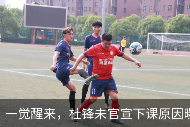 一觉醒来，杜锋未官宣下课原因曝光！徐杰确定留队，陈家政好消息