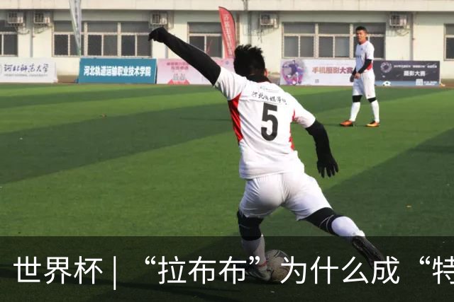 世界杯 | “拉布布”为什么成“特别嘉宾”？