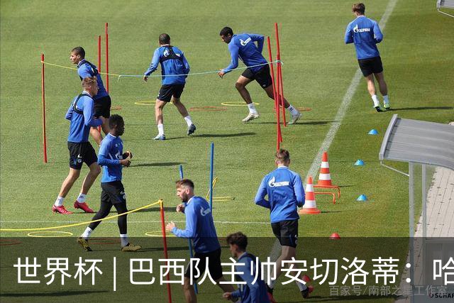世界杯 | 巴西队主帅安切洛蒂：哈兰德决定了比赛胜负