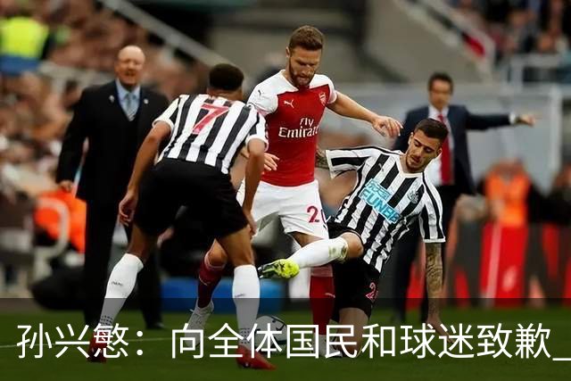 孙兴慜：向全体国民和球迷致歉 恳请少些过度批评伤害