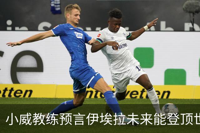 小威教练预言伊埃拉未来能登顶世界第一，但需要一次彻底的改造