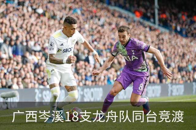广西岑溪18支龙舟队同台竞渡