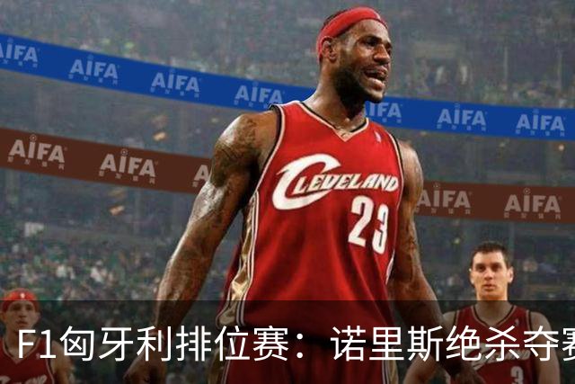 F1匈牙利排位赛：诺里斯绝杀夺赛季正赛首杆，汉密尔顿第二